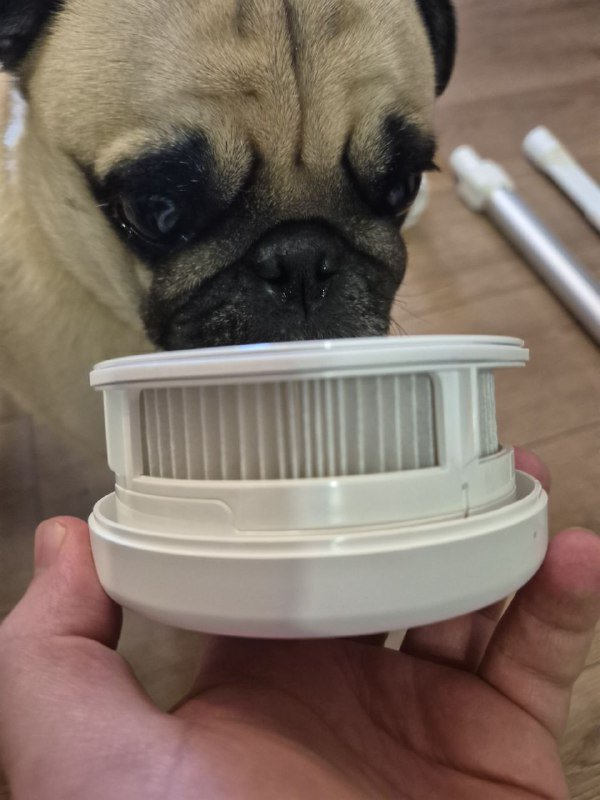 Пылесос Xiaomi G20 Lite 3