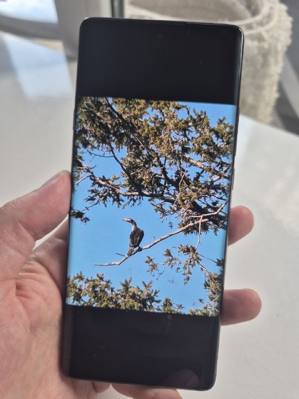 Смартфон TCL 20 Pro 5G