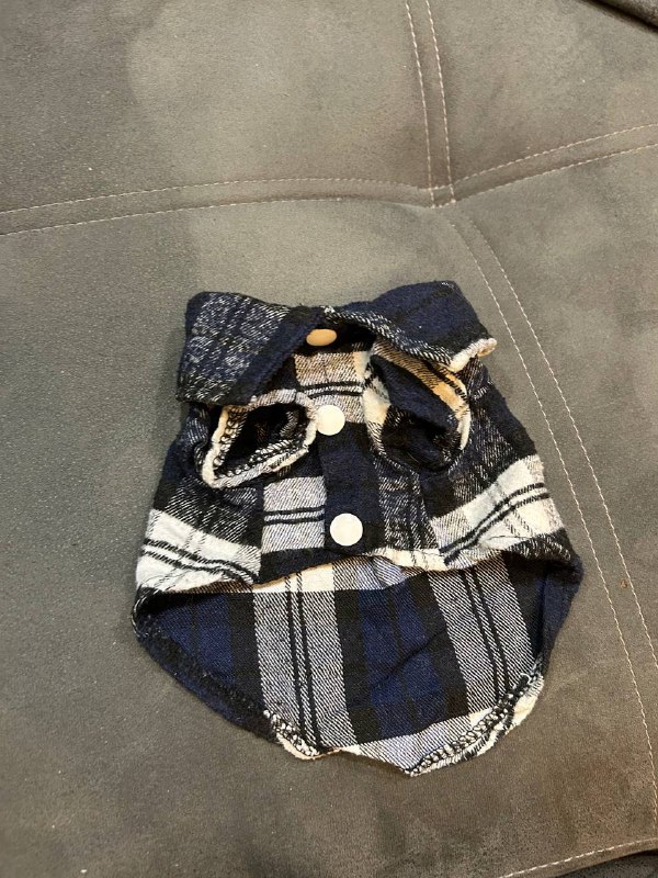 Одежда для маленьких собак и кошек 2