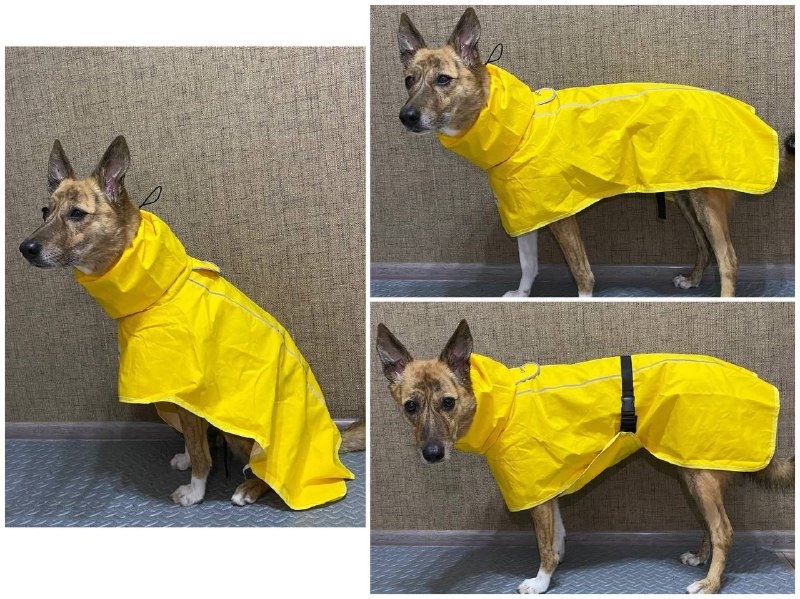 Легкий плащ-дождевик желтый для собак 6XL