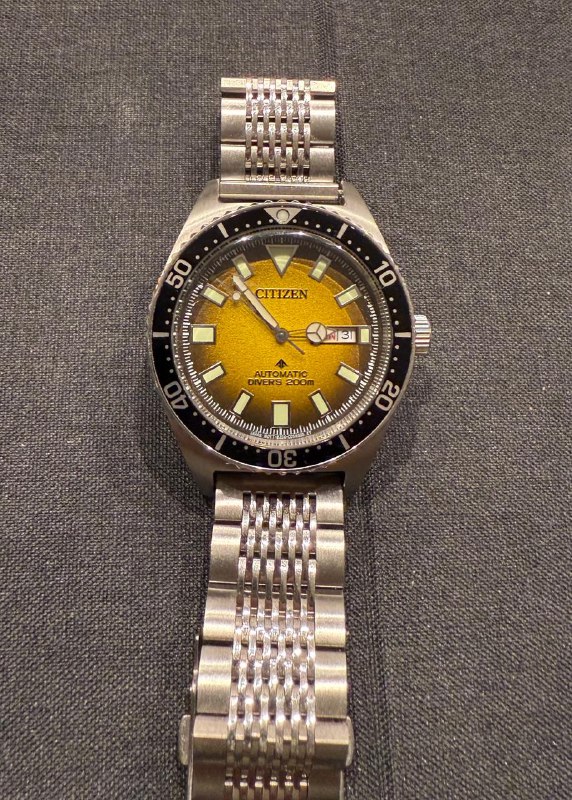 Часы дайверские Citizen NY0120-01X, Casio MDV 106