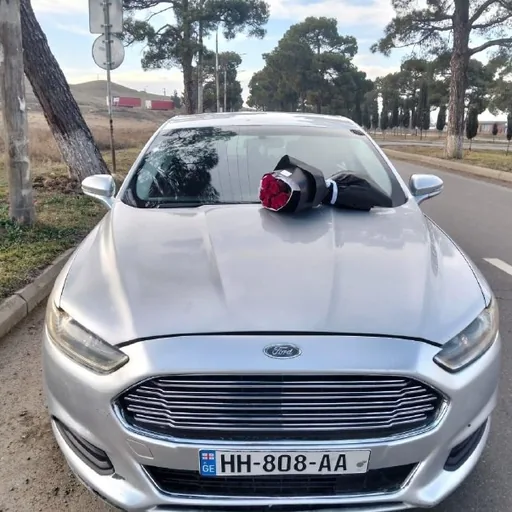 Ford Fusion 2013