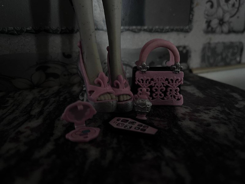 Кукла Monster High Рошель с аксессуарами 2
