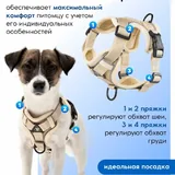 Анатомическая шлейка с поводком и адресником 2