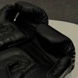 Боксерские перчатки 14 oz 2