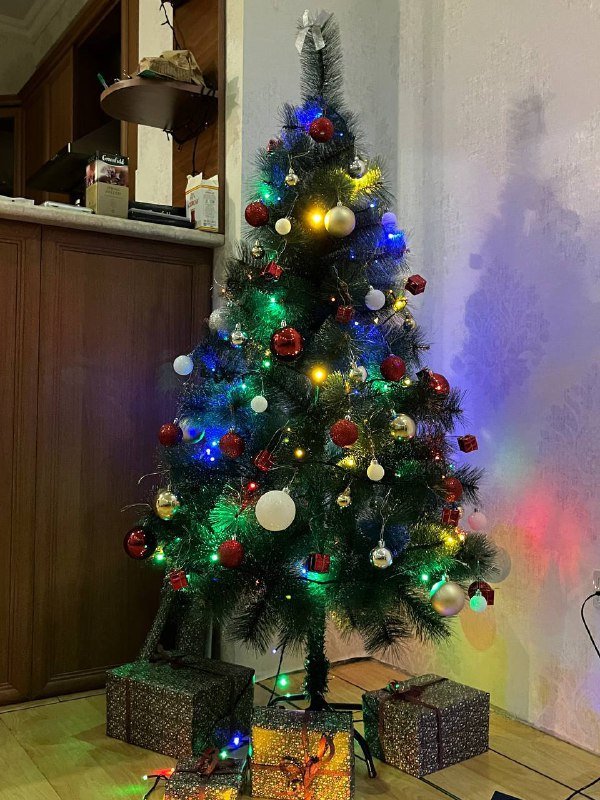 Елка искусственная, набор для BBQ, сад камней, женская сумка, переноска кошачья