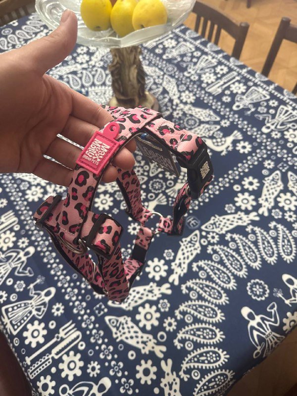 шлейки и поводки для собак