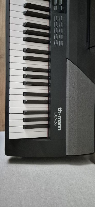 Электронное пианино Thoman DP-26 4