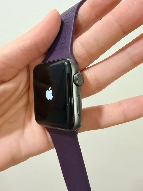 Apple Watch Series 2 42мм 1