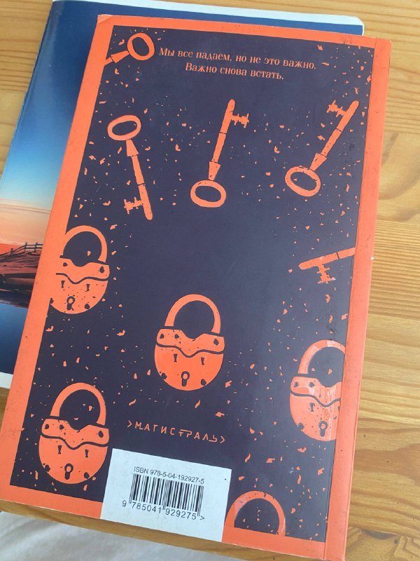 Книга «Вопрос и ответ» Патрик Несс 3