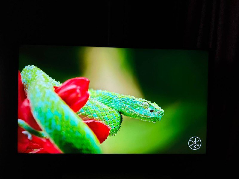 Телевизор LG 43UP81006LA.ARU 4K Ultra HD 2