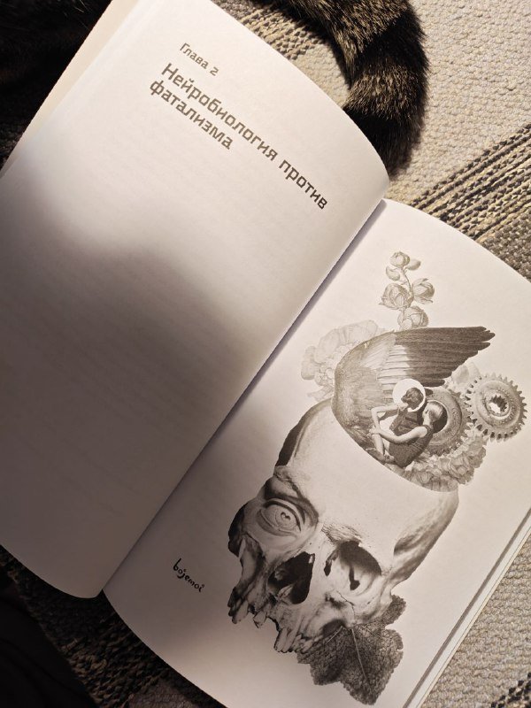 Книги Духовный интеллект, Homo Mutabilis 4