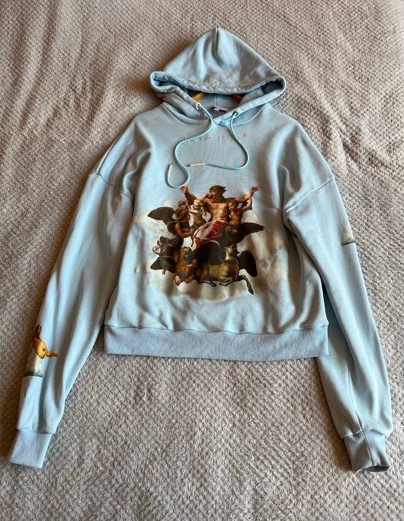 Толстовка Asia st.71 с принтами картины Рафаэлло Санти XL