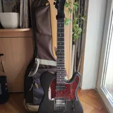 Электрогитара Harley Benton TE-20HH SBK, чехол, стойка 1
