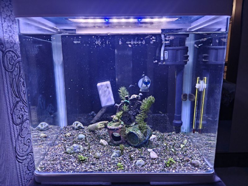 Аквариум с оборудованием, рыбами, кормом и тестами