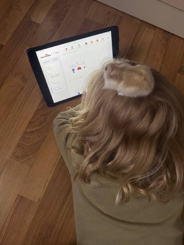 Джунгарские хомячки