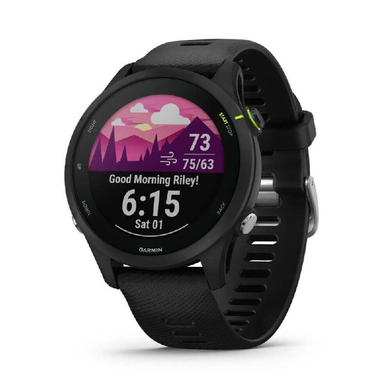Спортивные часы GARMIN Forerunner 255