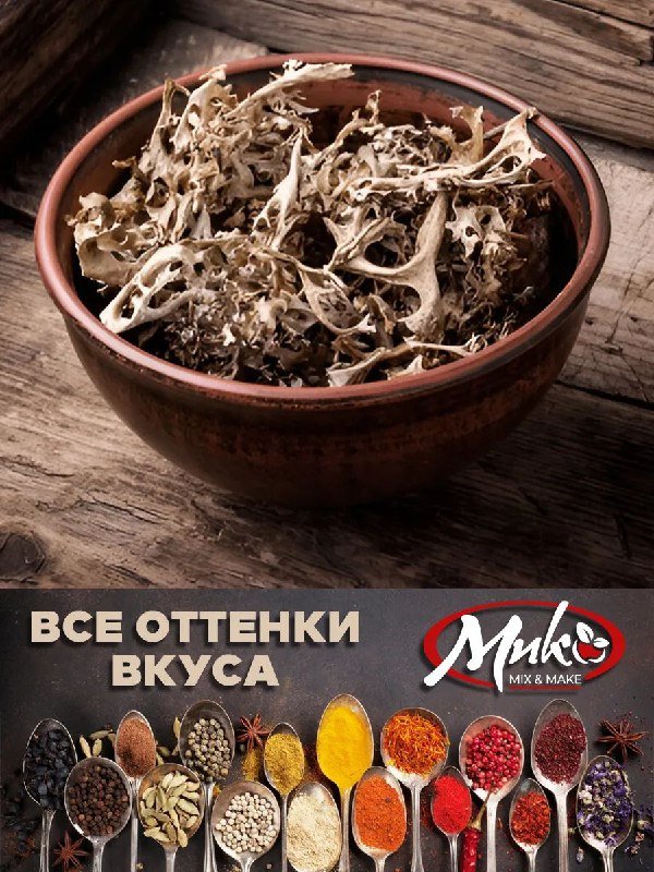 Исландский мох цетрария 5