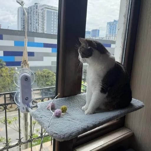 Гамак для кота