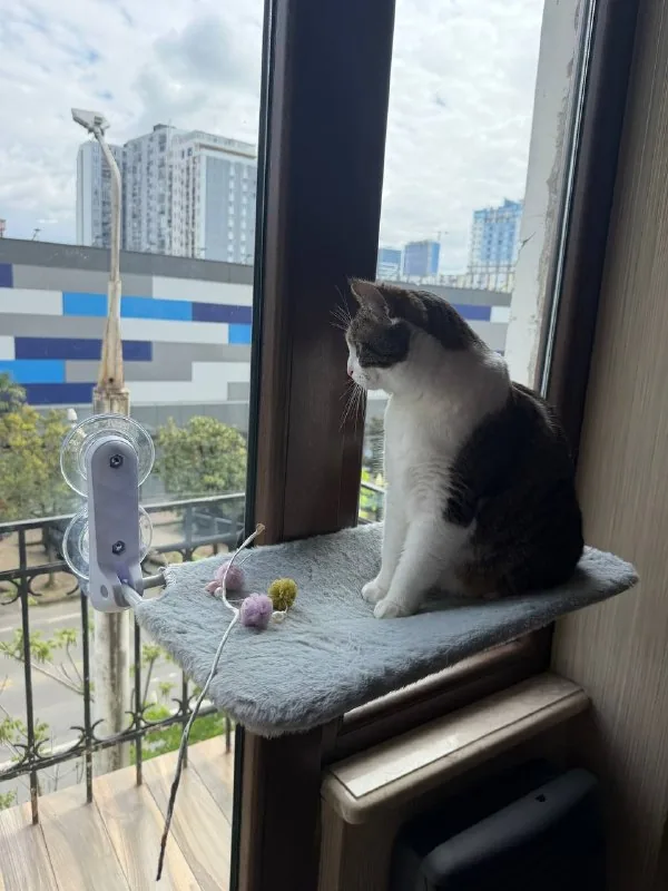 Гамак для кота 1