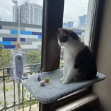 Гамак для кота 1