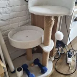 Лотки, когтеточки, лежанки, переноска 6