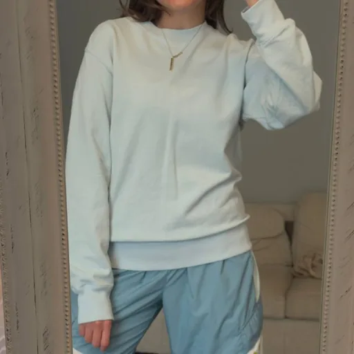 Uniqlo sweatshirt