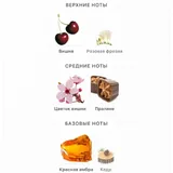 Аромат Banana Republic Dark Cherry & Amber 75 мл 4