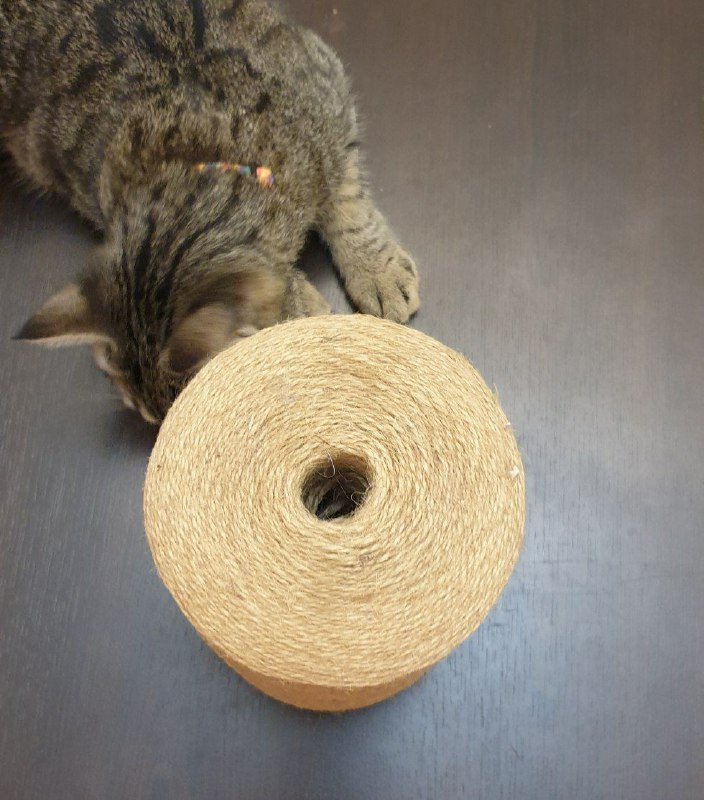 Баночки диспенсеры 10 мл, 30 мл, бичевка рулон 5