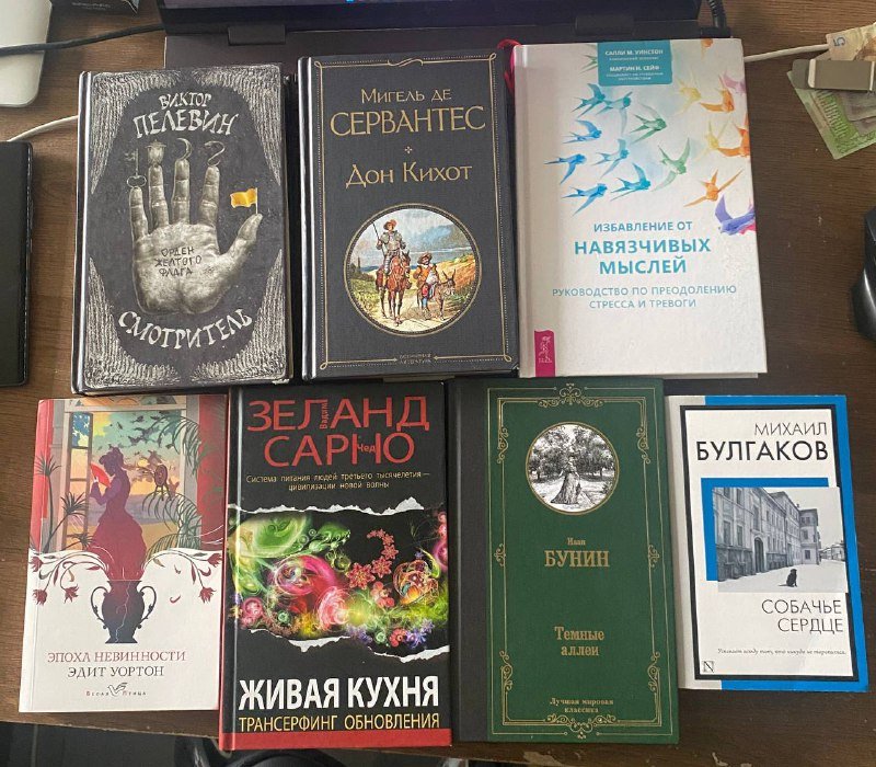 Книги разные авторами: Пелевин, Сервантес, Булгаков и др.