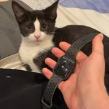 Apple Watch Nike SE 44 мм 2