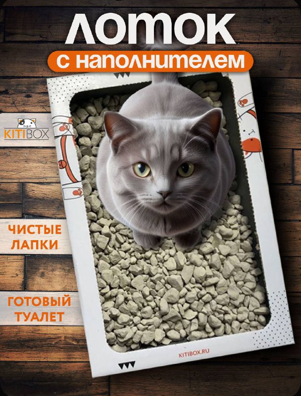 Одноразовый лоток Kittybox на 30 дней с наполнителем