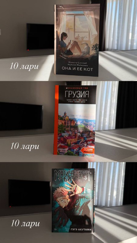 Книги: роман, путеводитель, манга и игра