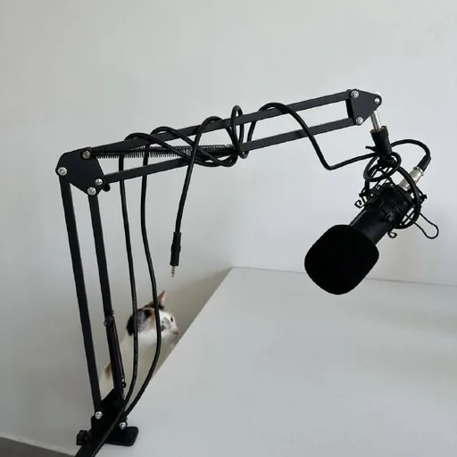 Genesis Radium 300 XLR desktop studio microphone