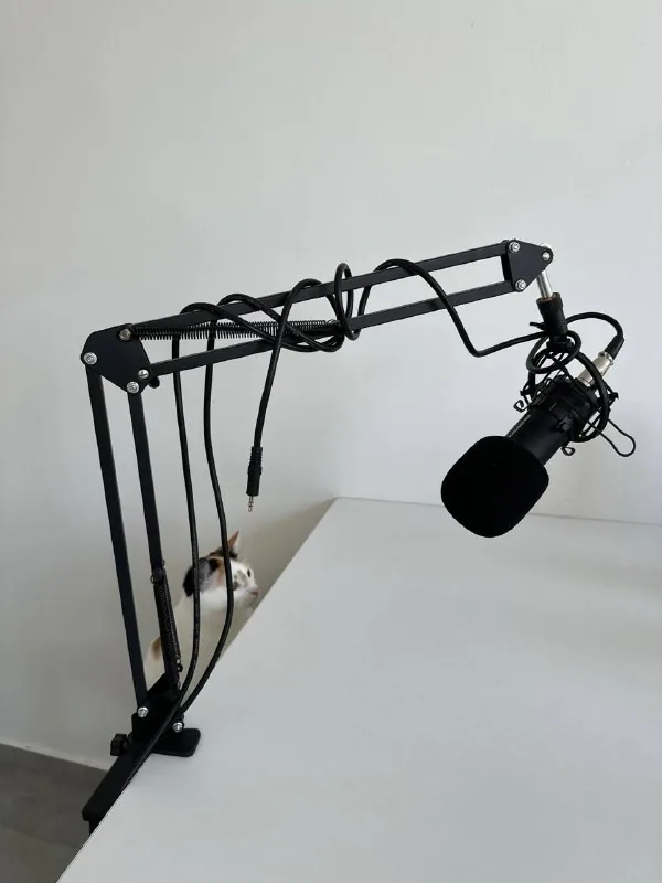 Genesis Radium 300 XLR desktop studio microphone