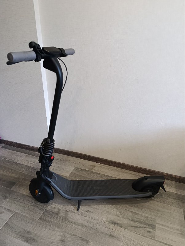 Электросамокат Ninebot E2