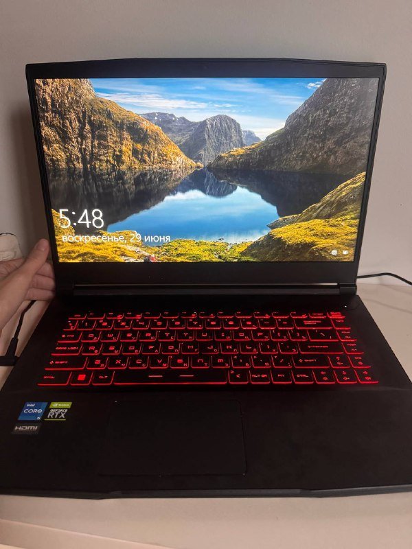 Ноутбук игровой MSI GF63 Thin 11UC-207XRU 15.6