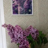 Ручная вышивка крестиком, картина в рамке 4