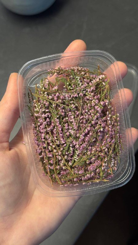 Сухоцветы в вакуумных упаковках, Вереск, Одуванчики, Лепестки василька