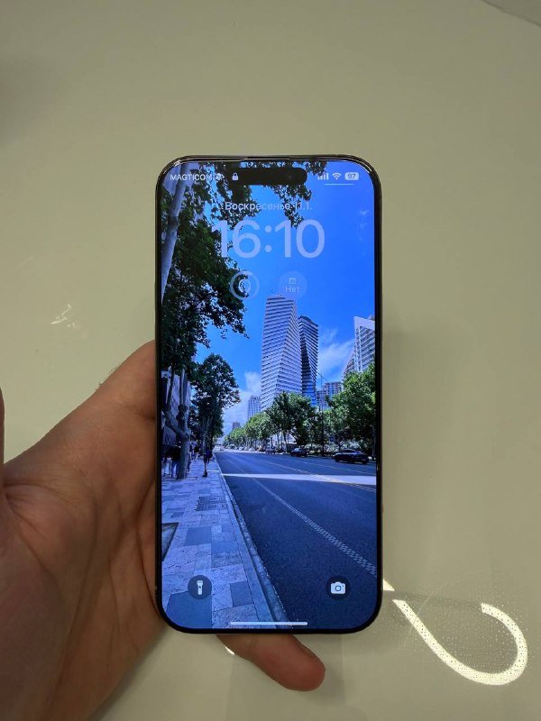 iPhone 16 Pro Max 256 ГБ