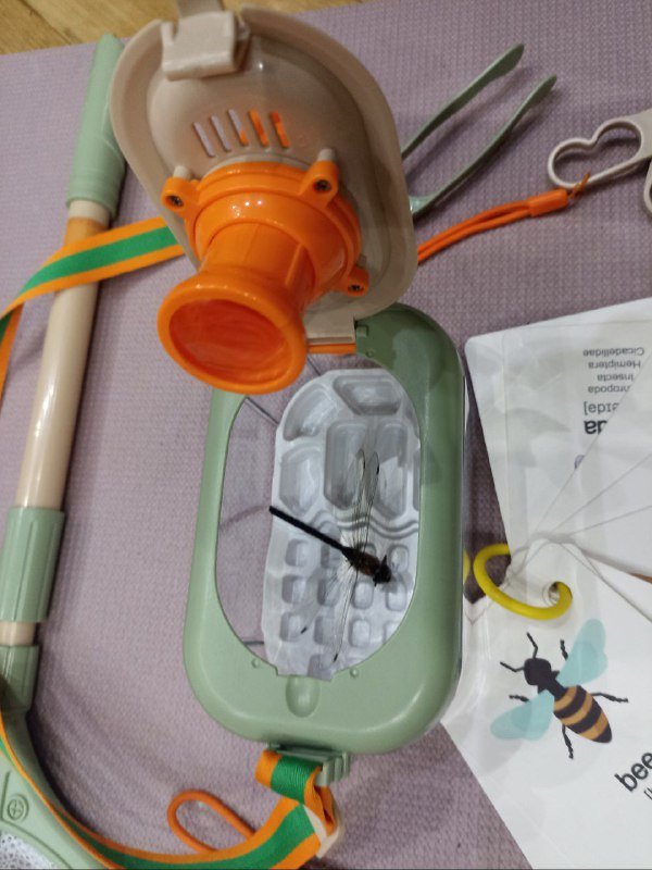 Набор юный натуралист с фонариком и сачком 3