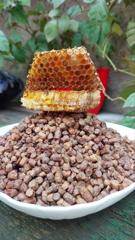 Пчелиная продукция: мёд, забрус, перга, пыльца, маточное молочко, воск, уксус, медовая водка 3