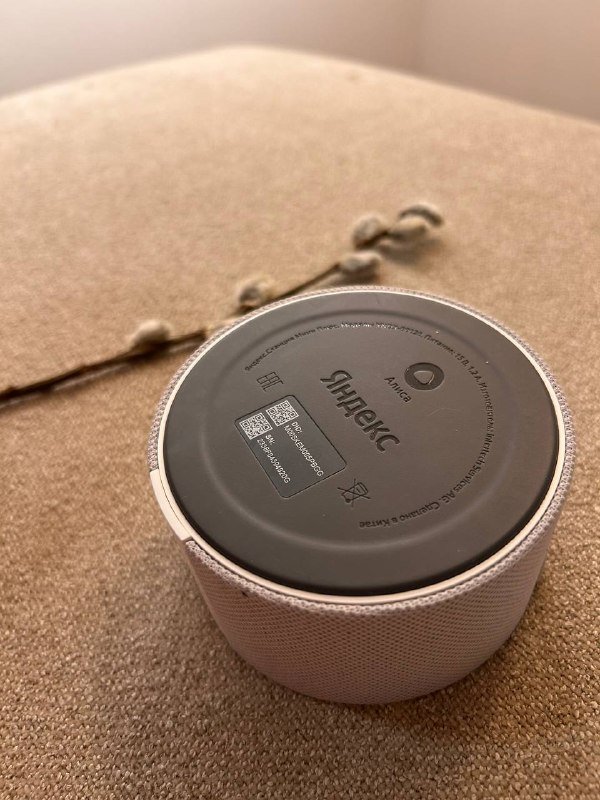 AirPods Pro (2nd generation) с MagSafe + Мини Алиса с проводом 4