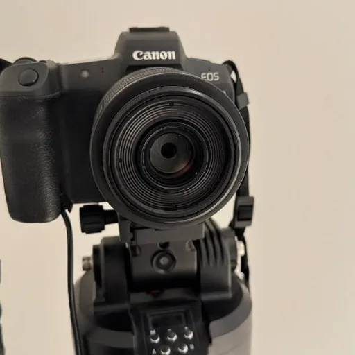 Canon R, объектив 35 мм