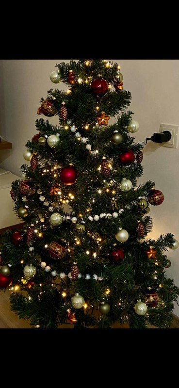 Журнальный стол, Диван, Елка 5