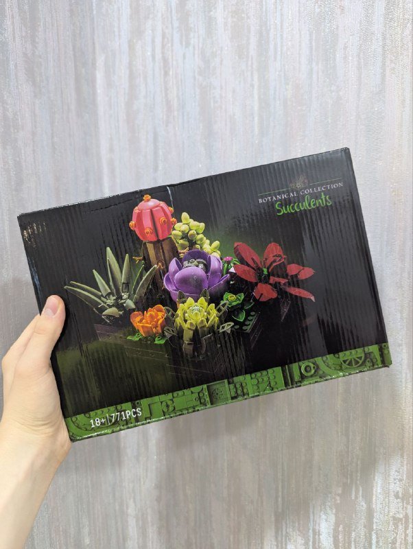 The Botanical Collection Succulents