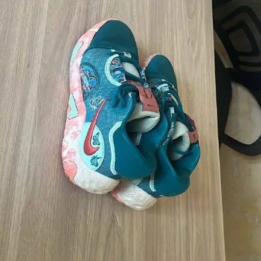 Кроссовки Nike Pg6, монитор LG