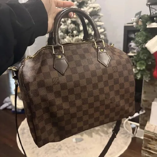 Сумки LV
