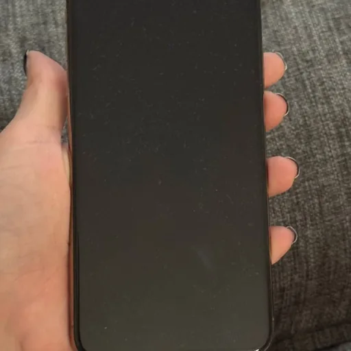 iPhone 11 Pro Max 512 GB
