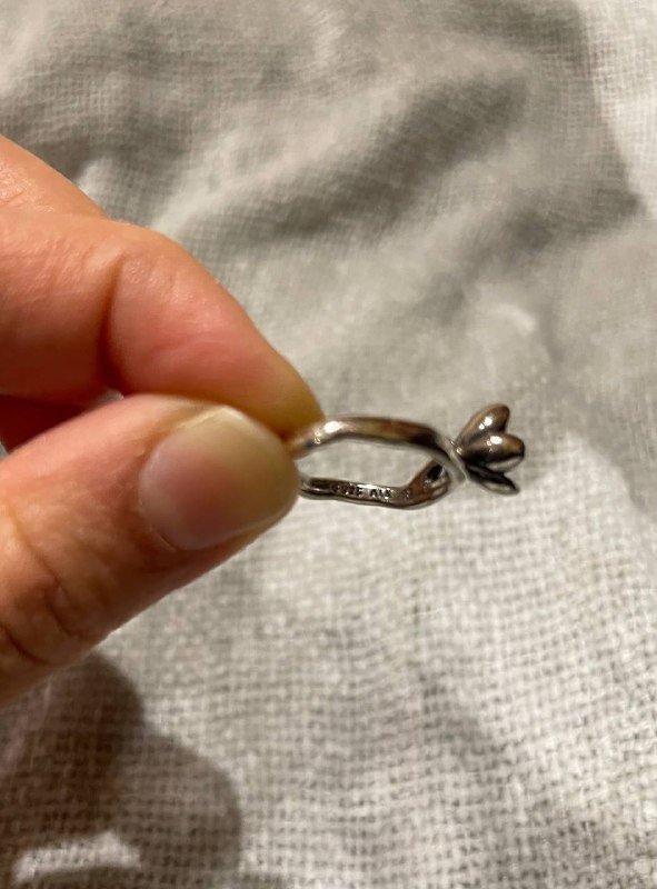 Сережки с жемчугом, цепочка, кольцо Пандора 6